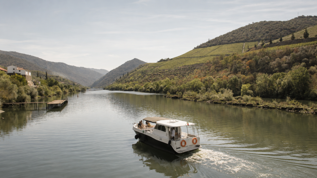 Boat Trips