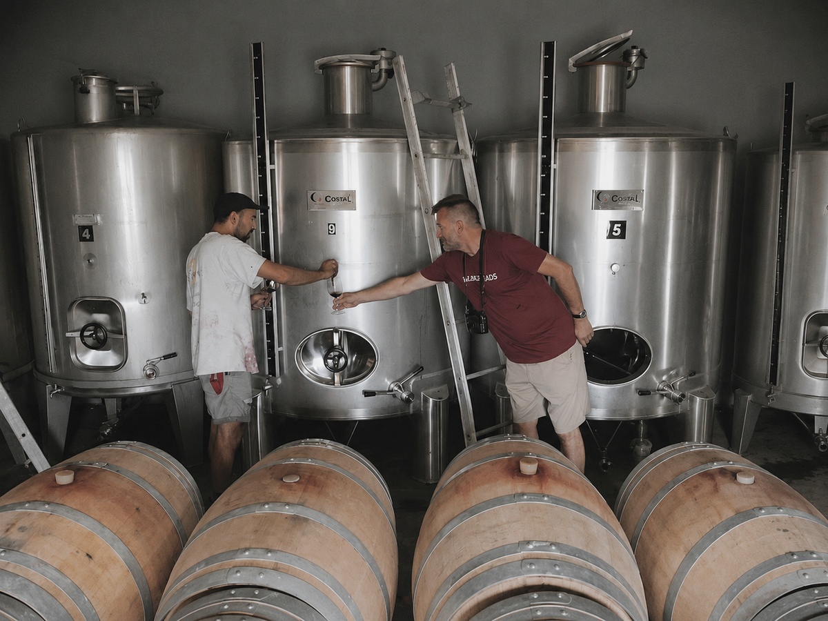 Quinta Senhora da Graça Boutique Wine Tasting Experience