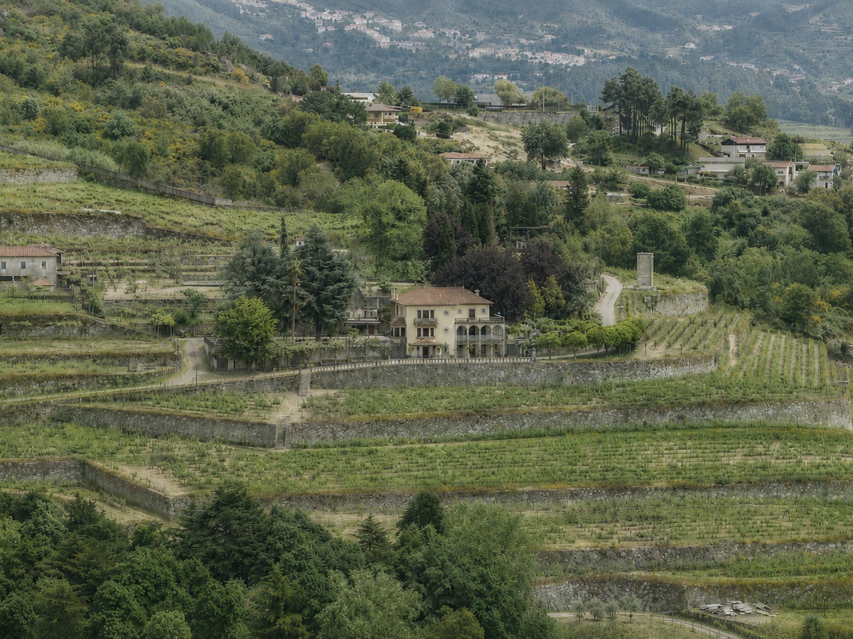Quinta de Santa Teresa Premium Wine Tasting Experience.
