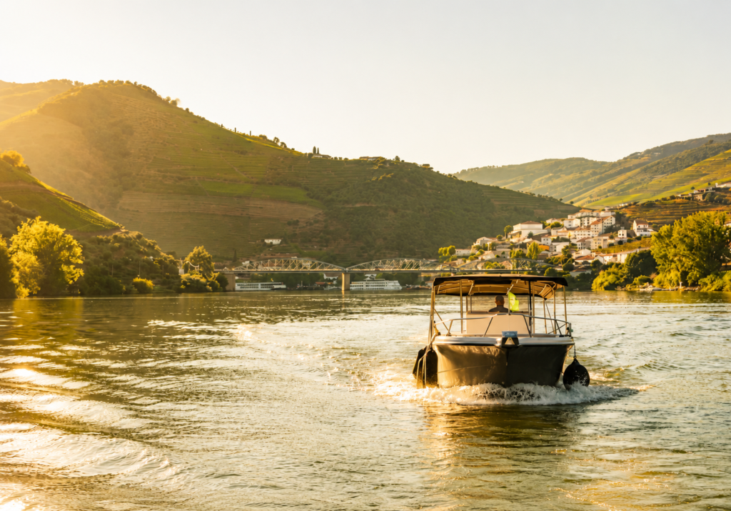 Boat trips